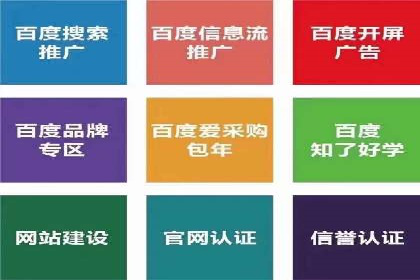 网络推广策略：竞价广告的实践案例