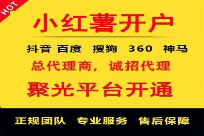 SEM代运营机构成功案例：优化策略与效果分析